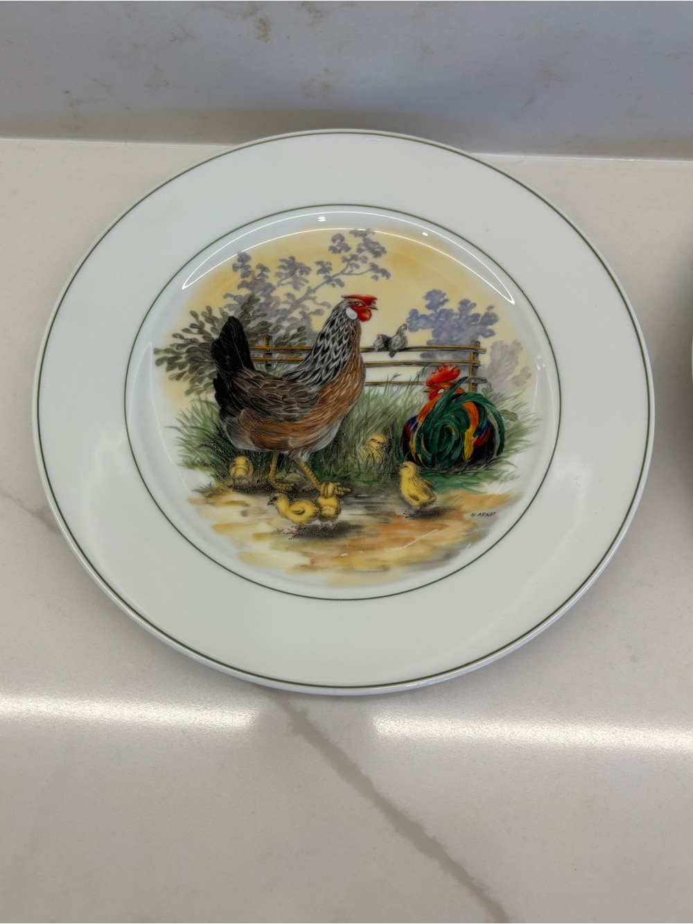 2 Antique Plates Artist H. Arndt 1930 Chicken & Rooster Bavaria Western Germany